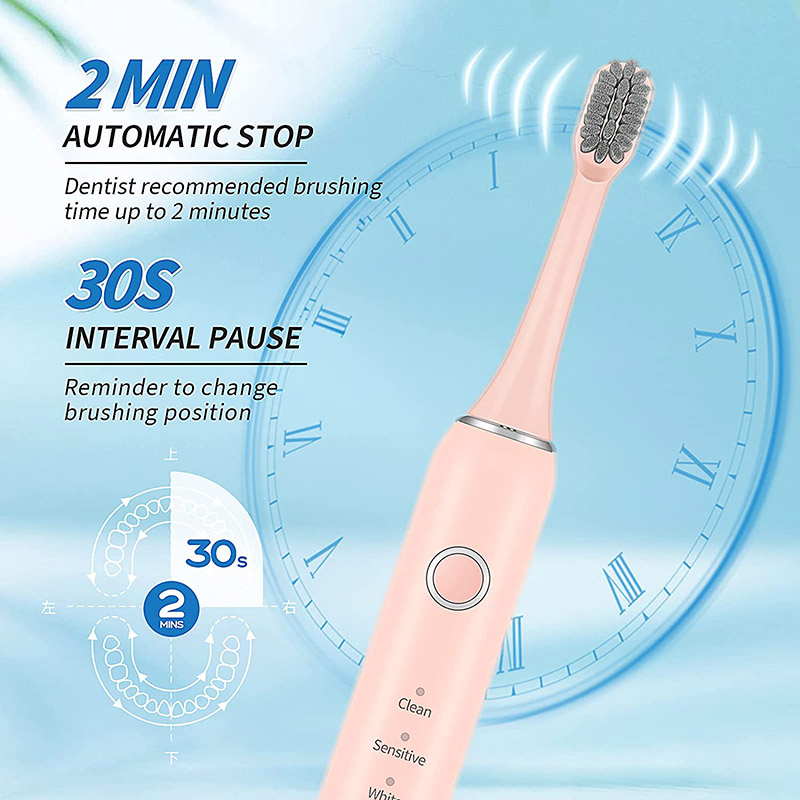 ALB-962  Super Long Standby Adult Intelligent Usb Electric Toothbrush